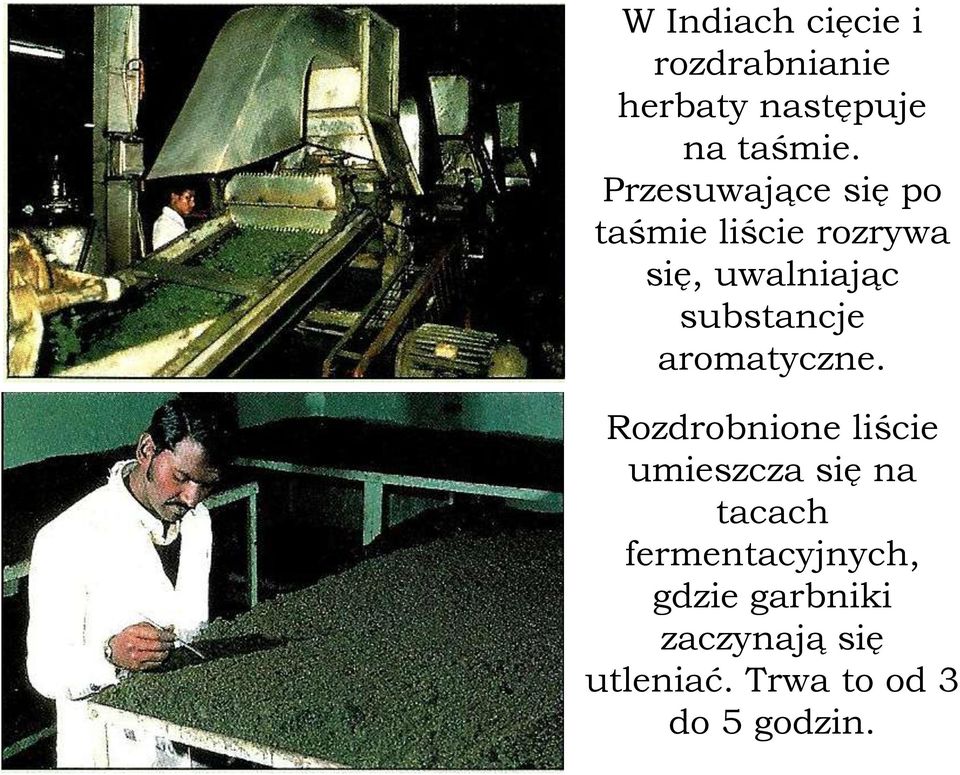 substancje aromatyczne.