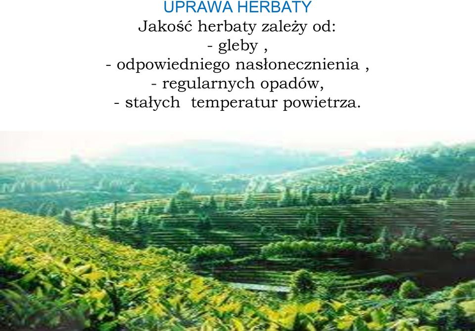 odpowiedniego nasłonecznienia, -