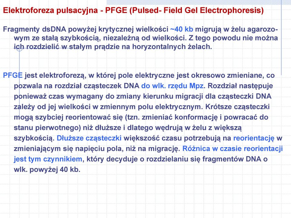 PFGE jest elektroforezą, w której pole elektryczne jest okresowo zmieniane, co pozwala na rozdział cząsteczek DNA do wlk. rzędu Mpz.