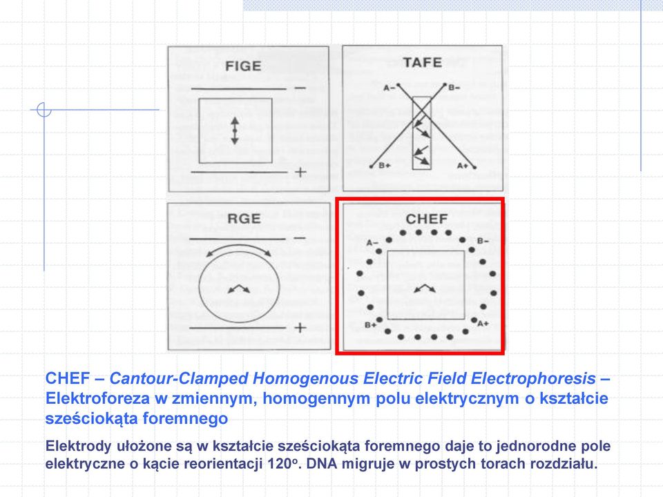Elektrody ułożone są w kształcie sześciokąta foremnego daje to jednorodne