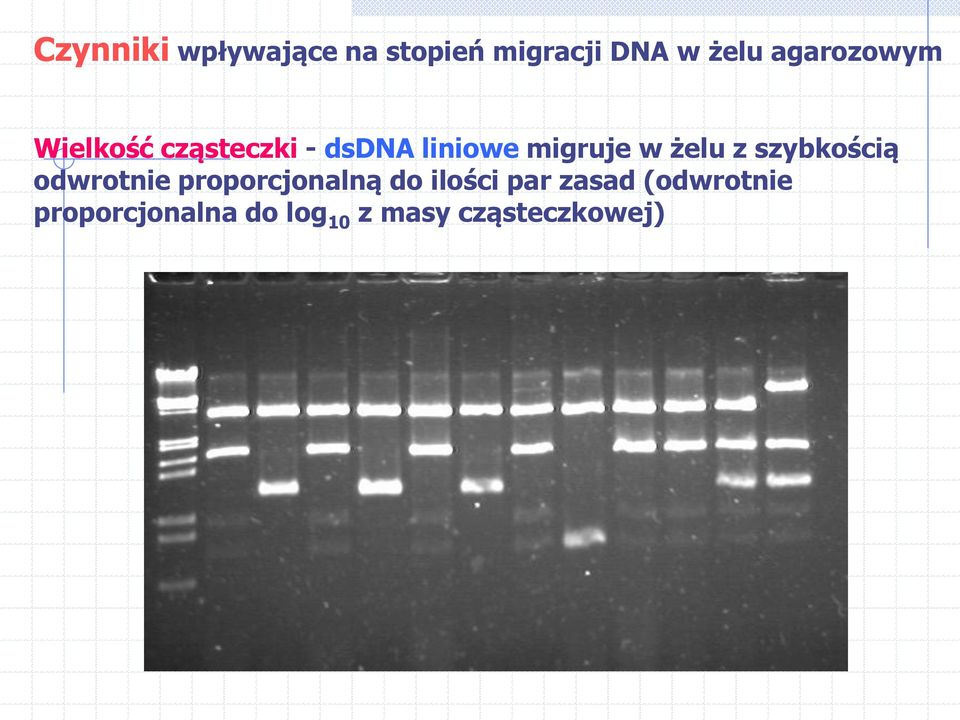 żelu z szybkością odwrotnie proporcjonalną do ilości par