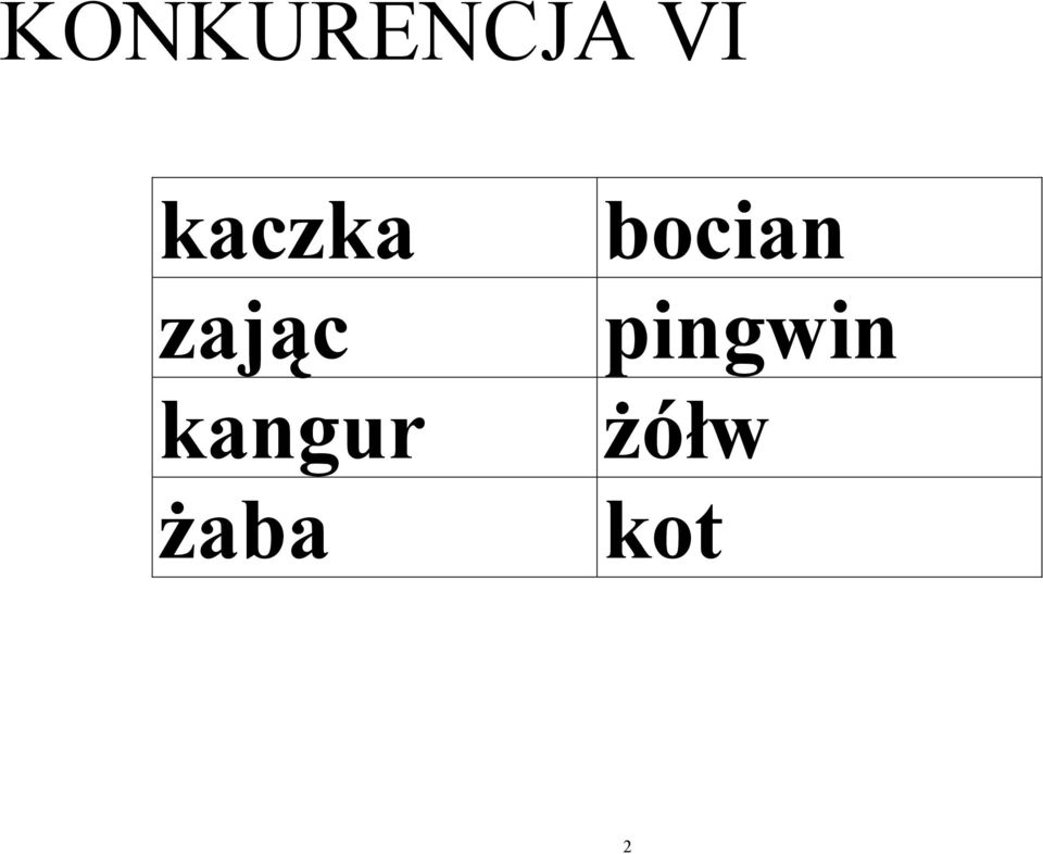 kangur żaba