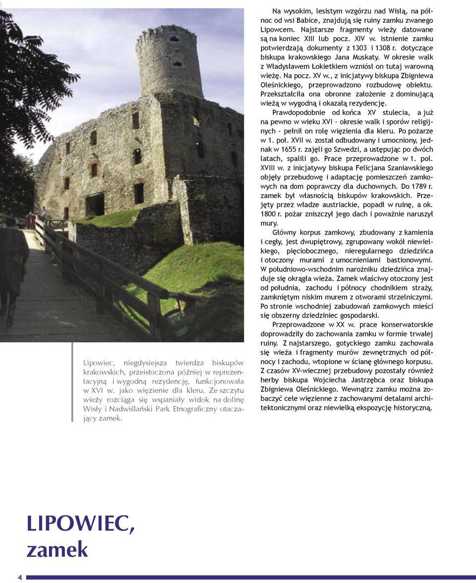 Na wysokim, lesistym wzgórzu nad Wisłą, na północ od wsi Babice, znajdują się ruiny zamku zwanego Lipowcem. Najstarsze fragmenty wieży datowane są na koniec XIII lub pocz. XIV w.