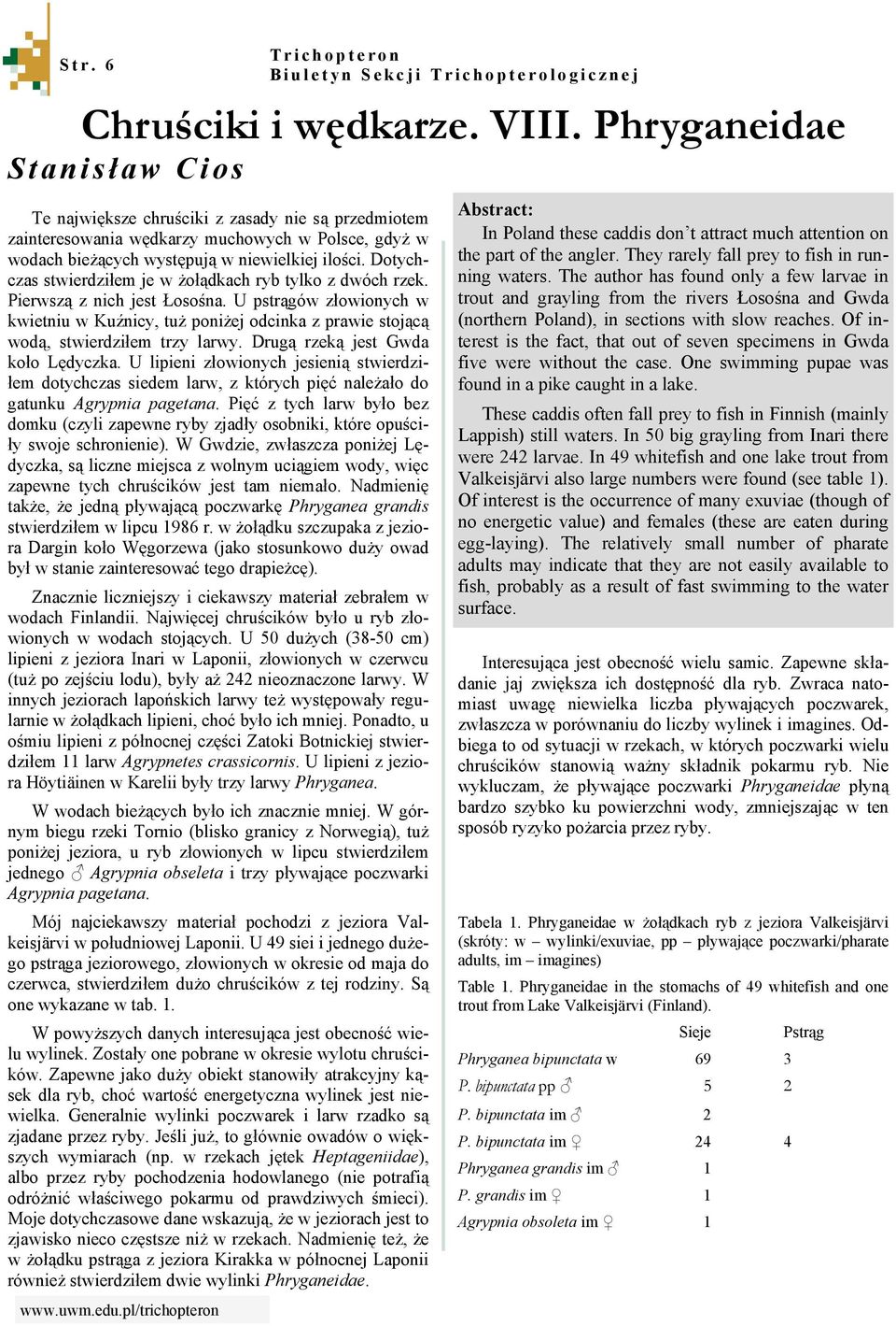U pstrągów złowionych w kwietniu w Kuźnicy, tuż poniżej odcinka z prawie stojącą wodą, stwierdziłem trzy larwy. Drugą rzeką jest Gwda koło Lędyczka.