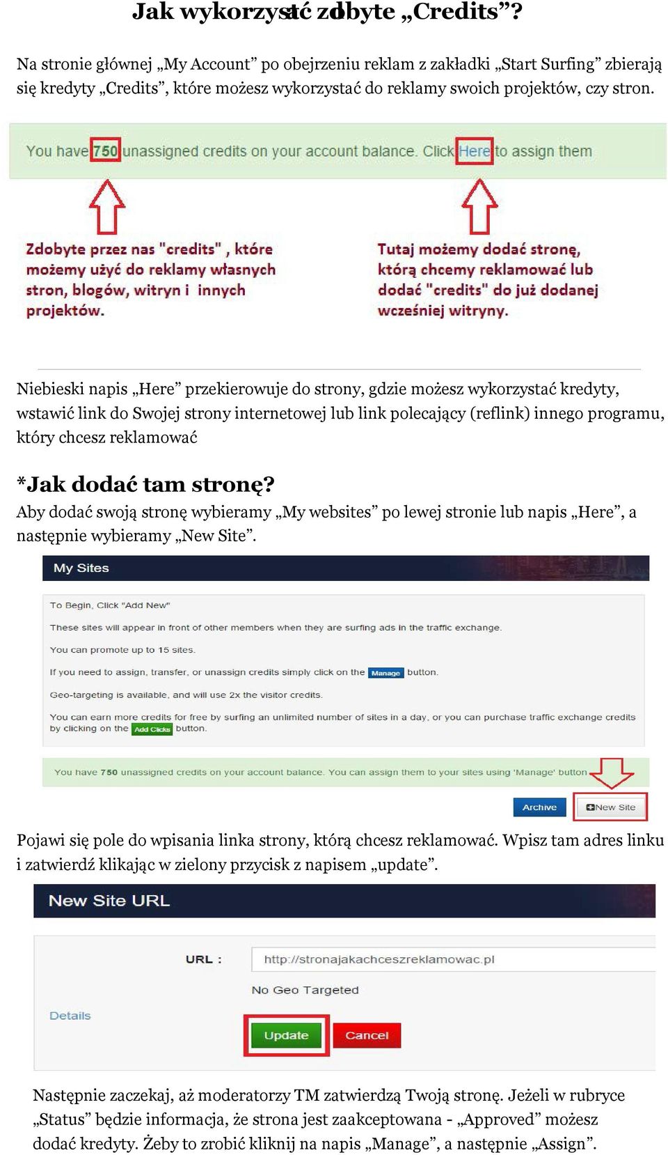 Niebieski napis Here przekierowuje do strony, gdzie możesz wykorzystać kredyty, wstawić link do Swojej strony internetowej lub link polecający (reflink) innego programu, który chcesz reklamować *Jak