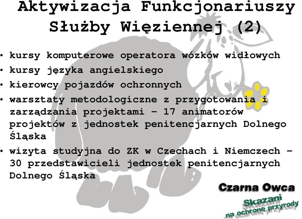 i zarządzania projektami 17 animatorów projektów z jednostek penitencjarnych Dolnego Śląska