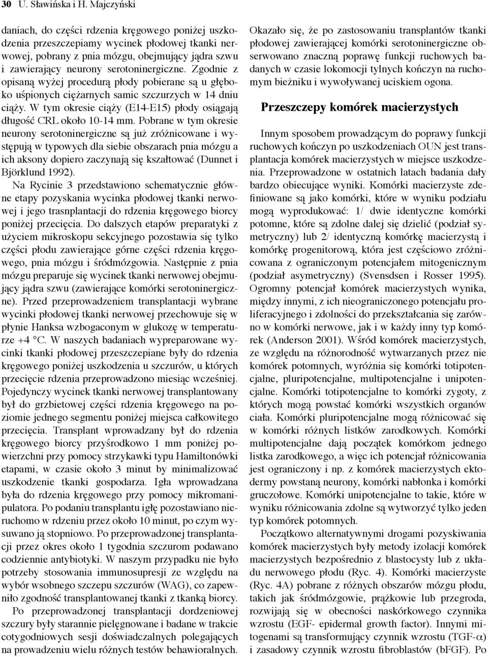 serotoninergiczne. Zgodnie z opisaną wyżej procedurą płody pobierane są u głęboko uśpionych ciężarnych samic szczurzych w 14 dniu ciąży.