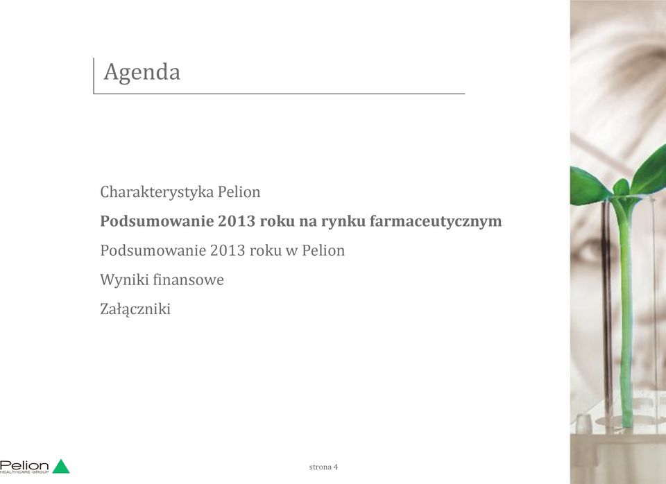 farmaceutycznym Podsumowanie 2013