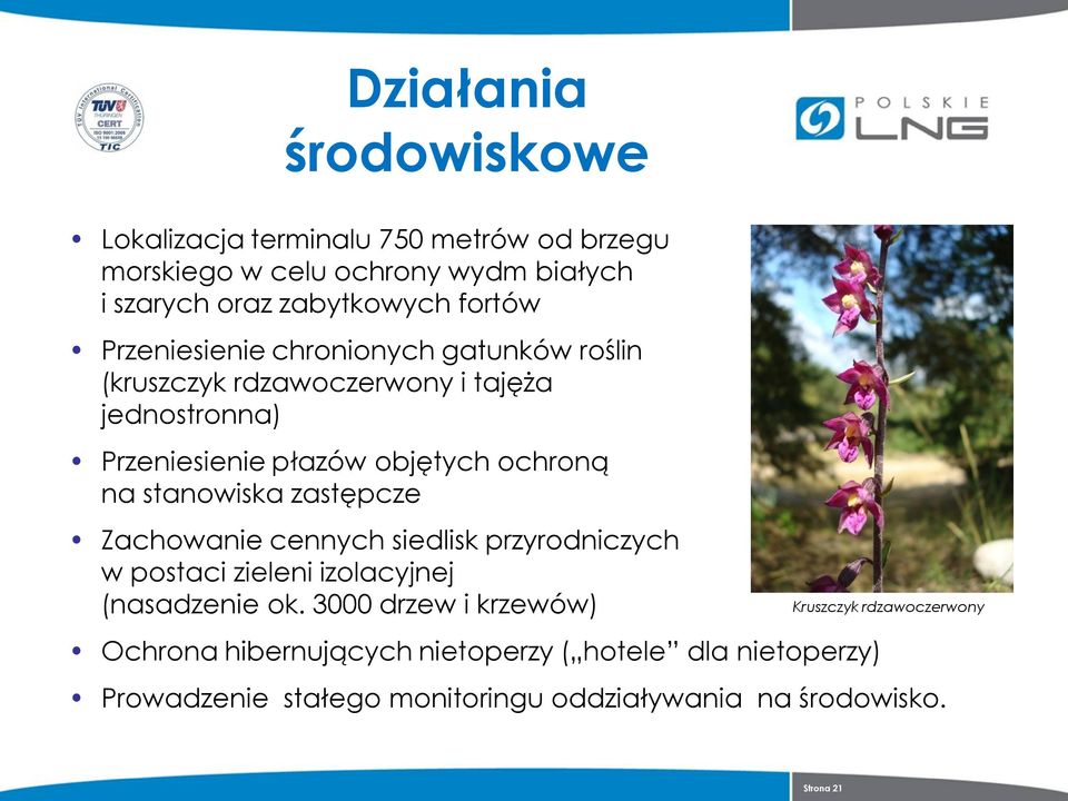 stanowiska zastępcze Zachowanie cennych siedlisk przyrodniczych w postaci zieleni izolacyjnej (nasadzenie ok.