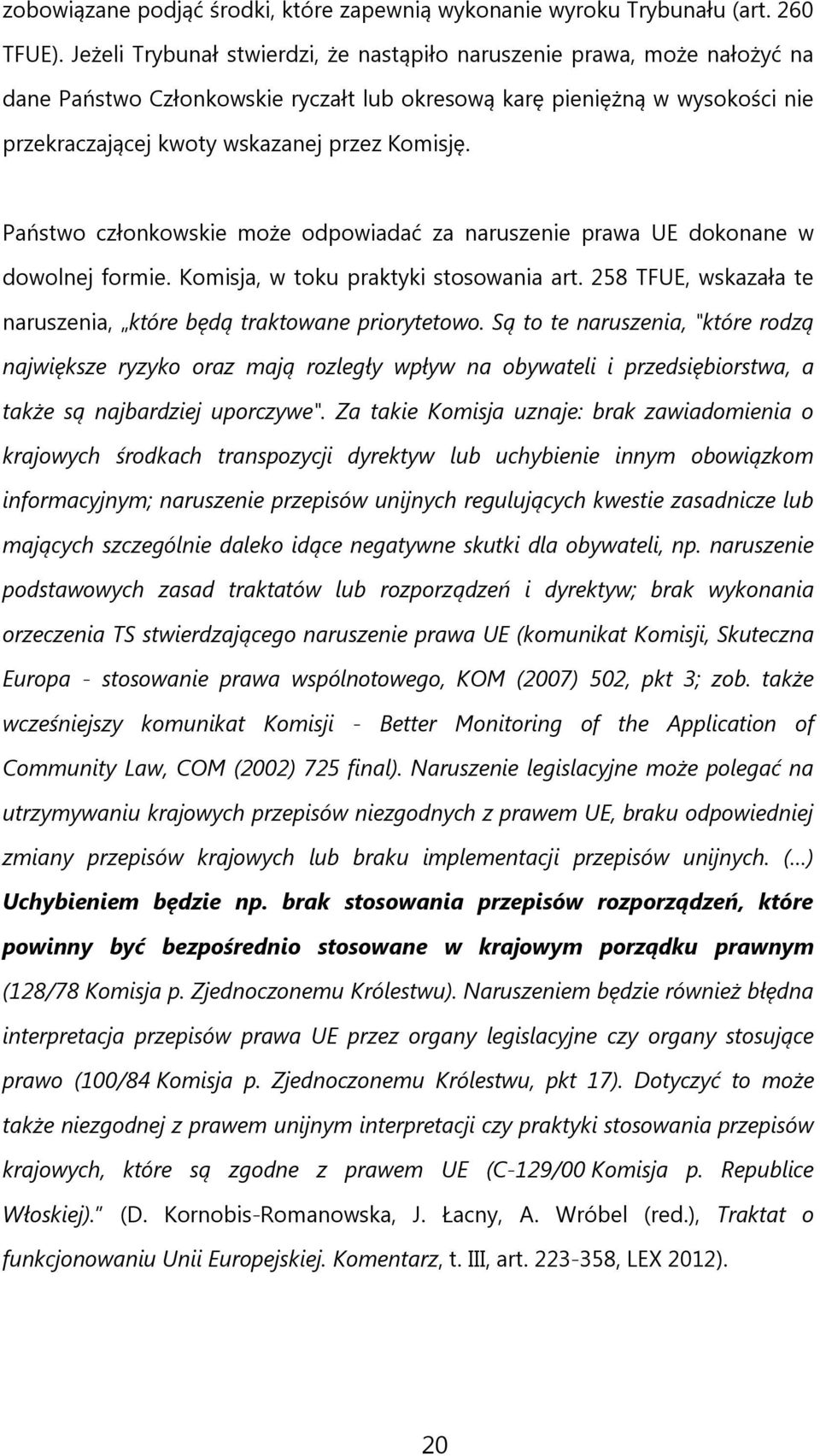 Państwo członkowskie może odpowiadać za naruszenie prawa UE dokonane w dowolnej formie. Komisja, w toku praktyki stosowania art. 258 TFUE, wskazała te naruszenia, które będą traktowane priorytetowo.
