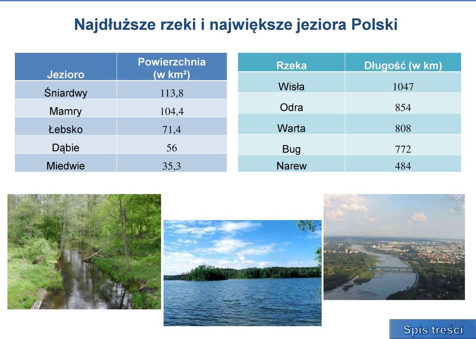 104,4 Łebsko 71,4 Dąbie 56 Miedwie 35,3 Rzeka