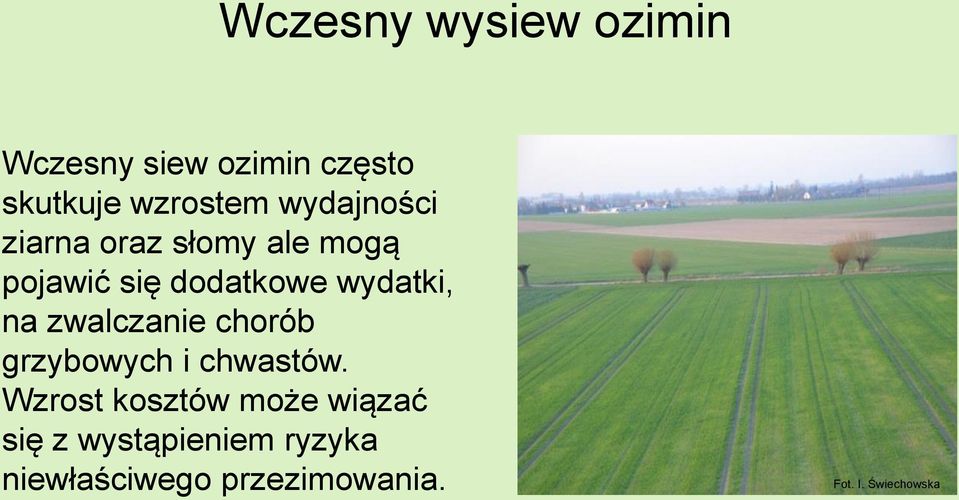 na zwalczanie chorób grzybowych i chwastów.