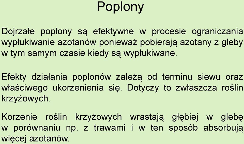 Efekty działania poplonów zależą od terminu siewu oraz właściwego ukorzenienia się.