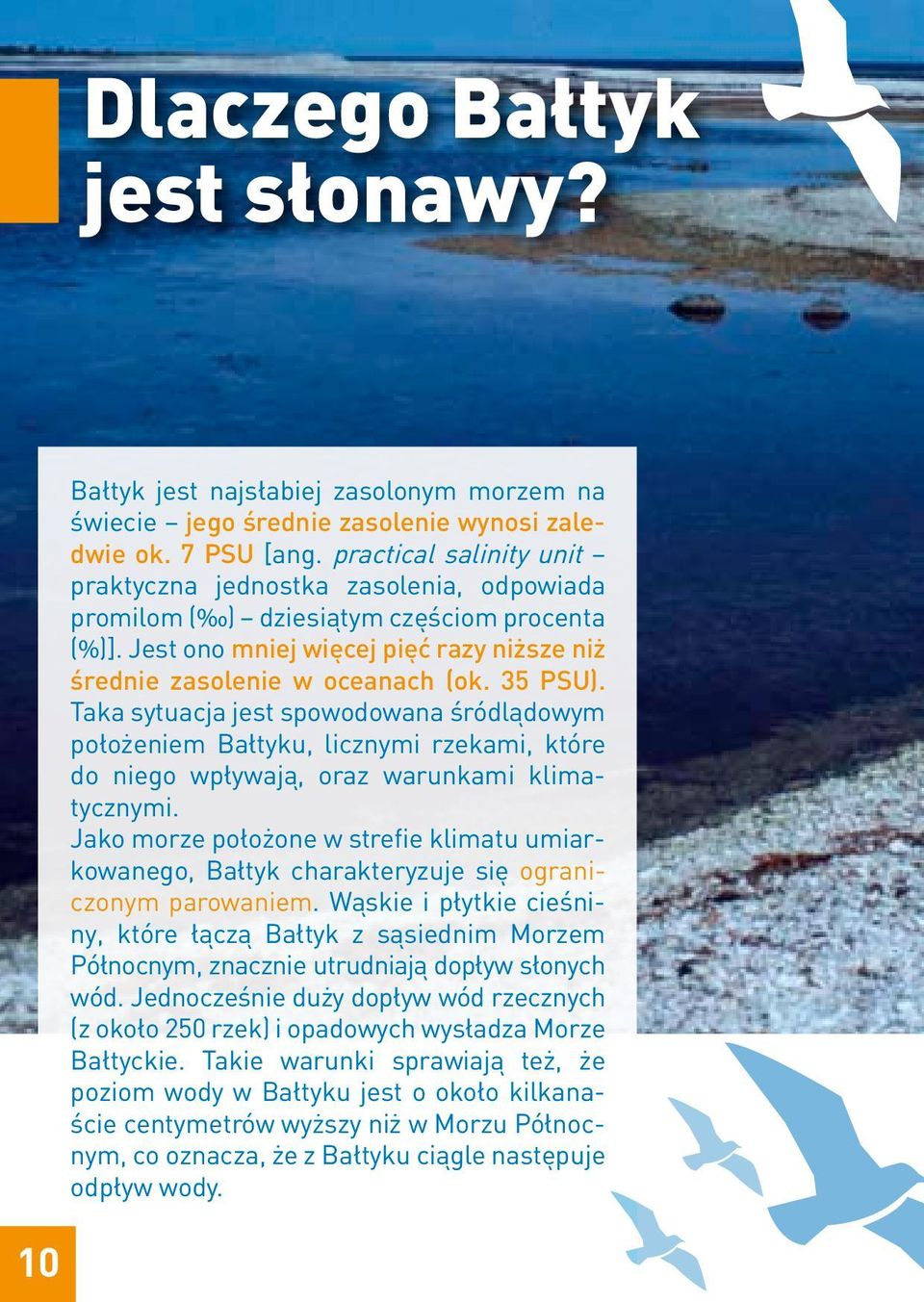 Taka sytuacja jest spowodowana śródlądowym położeniem Bałtyku, licznymi rzekami, które do niego wpływają, oraz warunkami klimatycznymi.