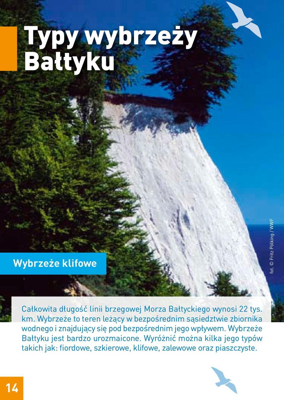 Wybrzeże to teren leżący w bezpośrednim sąsiedztwie zbiornika wodnego i znajdujący się pod
