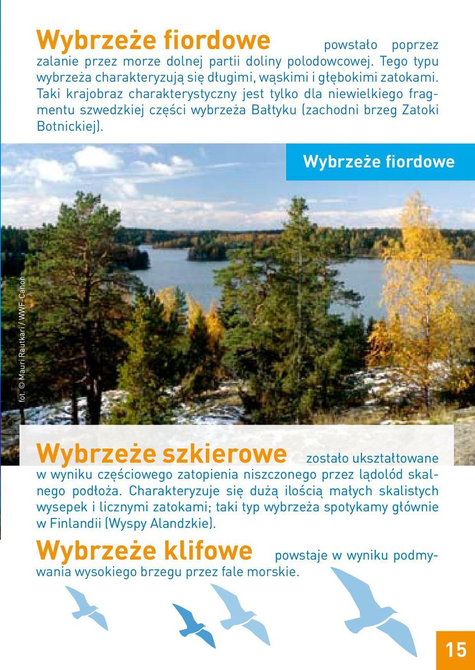 Mauri Rautkari / WWF-Canon Wybrzeże szkierowe zostało ukształtowane w wyniku częściowego zatopienia niszczonego przez lądolód skalnego podłoża.