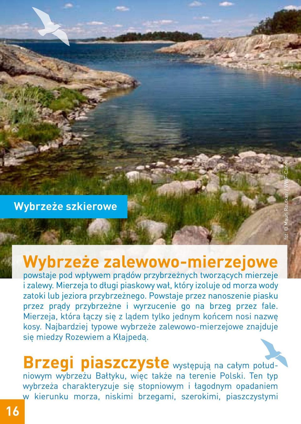 Powstaje przez nanoszenie piasku przez prądy przybrzeżne i wyrzucenie go na brzeg przez fale. Mierzeja, która łączy się z lądem tylko jednym końcem nosi nazwę kosy.