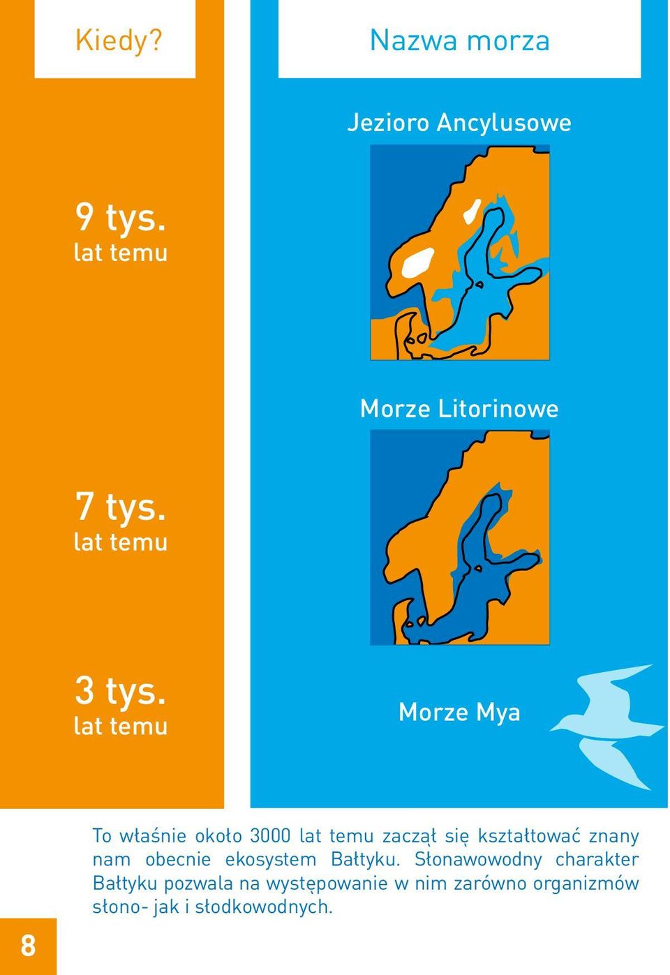 lat temu Morze Mya 8 To właśnie około 3000 lat temu zaczął się kształtować