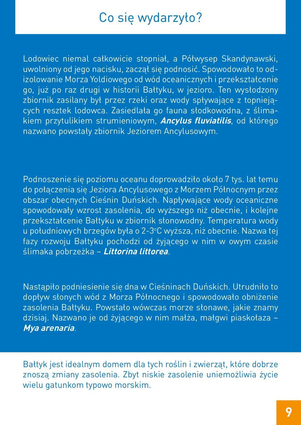 Ten wysłodzony zbiornik zasilany był przez rzeki oraz wody spływające z topniejących resztek lodowca.