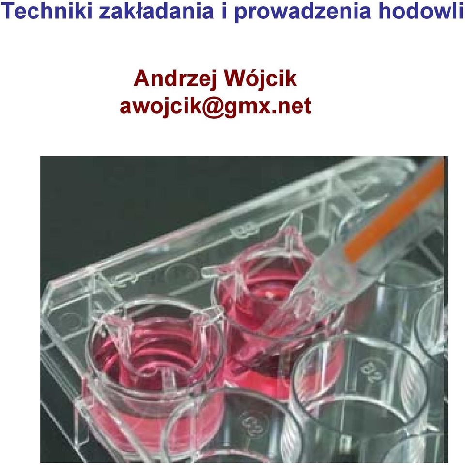 prowadzenia