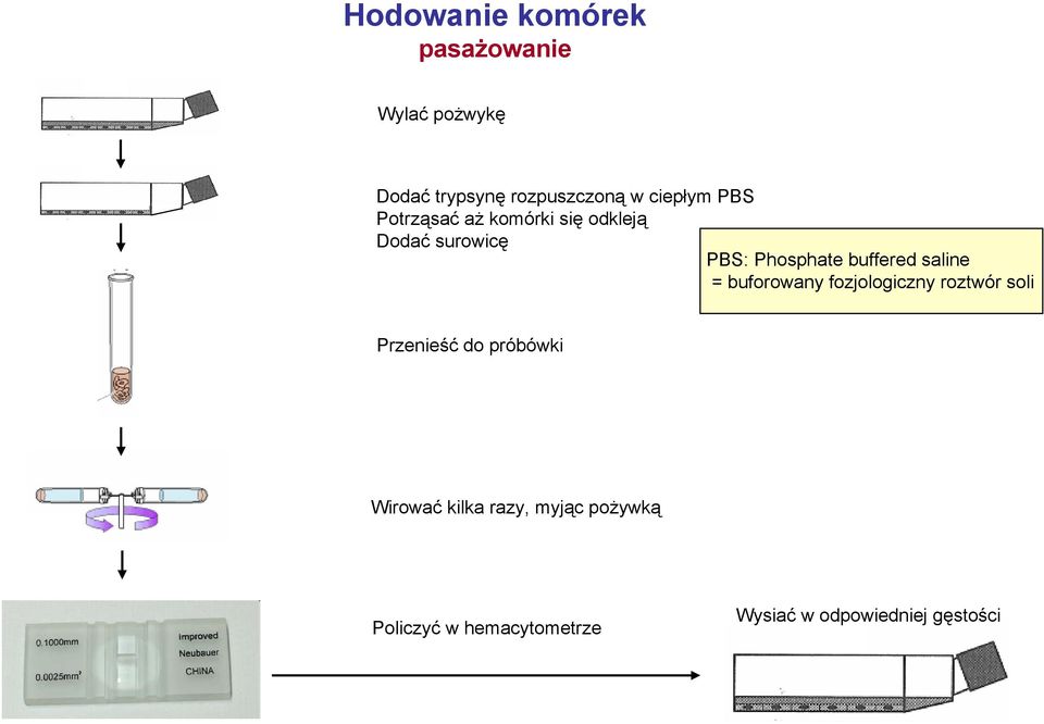 buffered saline = buforowany fozjologiczny roztwór soli Przenieść do próbówki