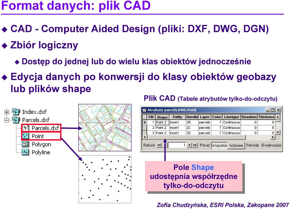 po konwersji do klasy obiektów geobazy lub plików shape Plik CAD (Tabele