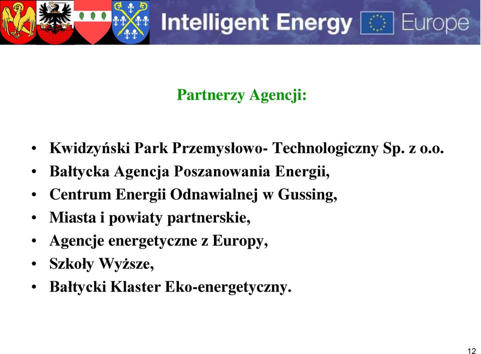 Odnawialnej w Gussing, Miasta i powiaty partnerskie, Agencje