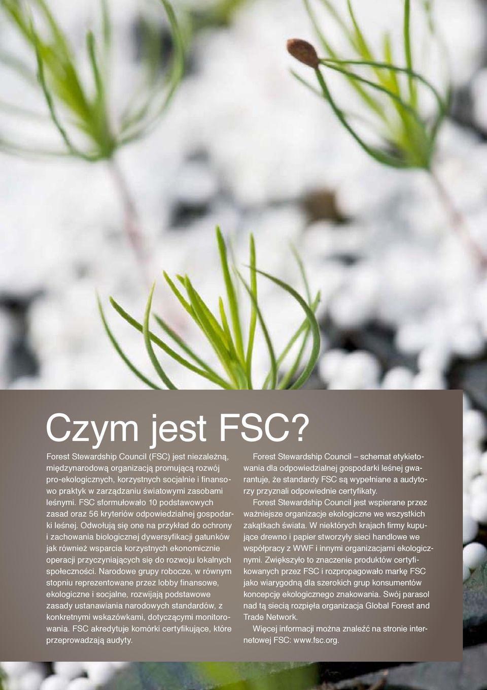 FSC sformułowało 10 podstawowych zasad oraz 56 kryteriów odpowiedzialnej gospodarki leśnej.