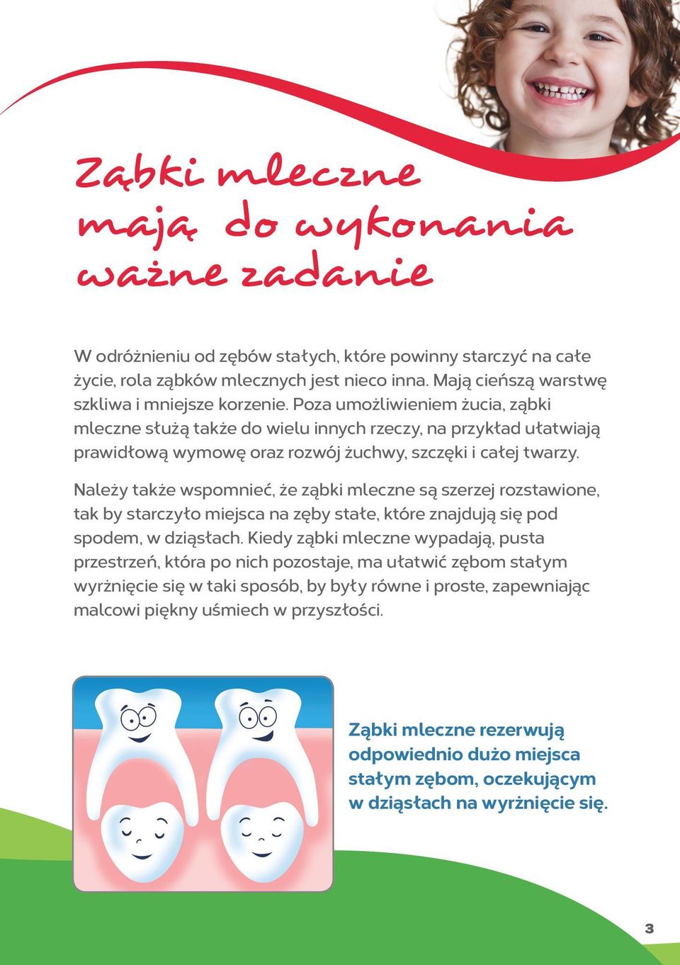 Poza umożliwieniem żucia, ząbki mleczne służą także do wielu innych rzeczy, na przykład ułatwiają prawidłową wymowę oraz rozwój żuchwy, szczęki i całej twarzy.