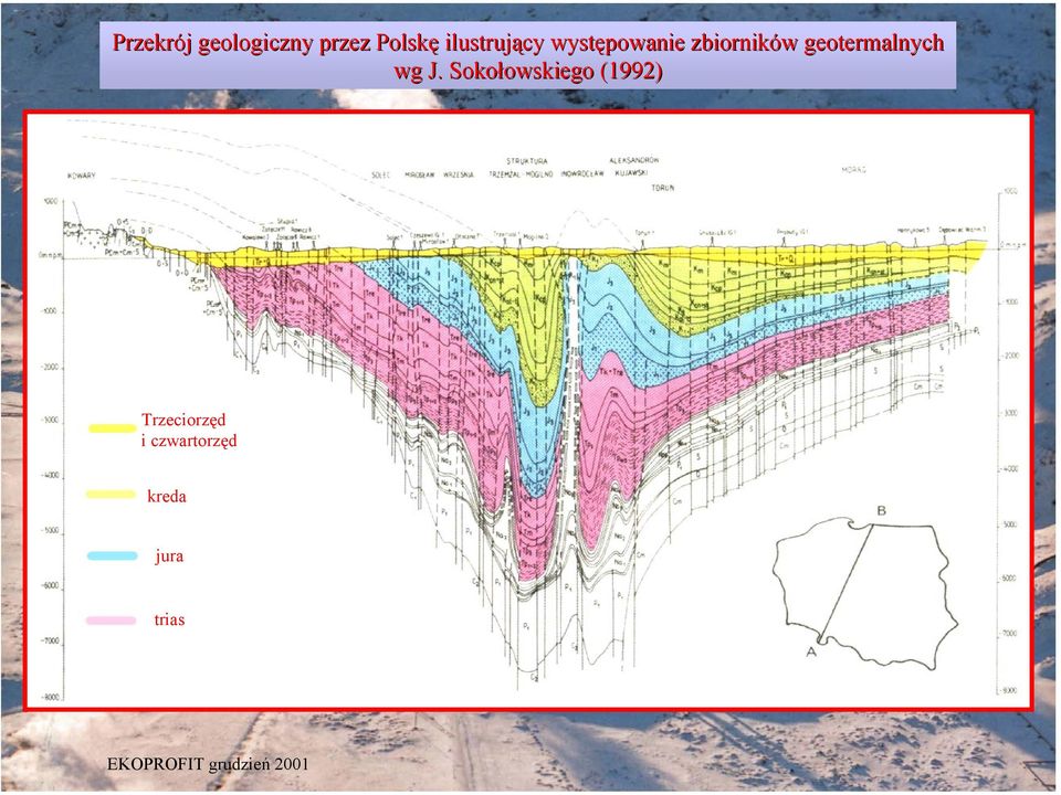 Sokołowskiego owskiego (1992) Trzeciorzęd i