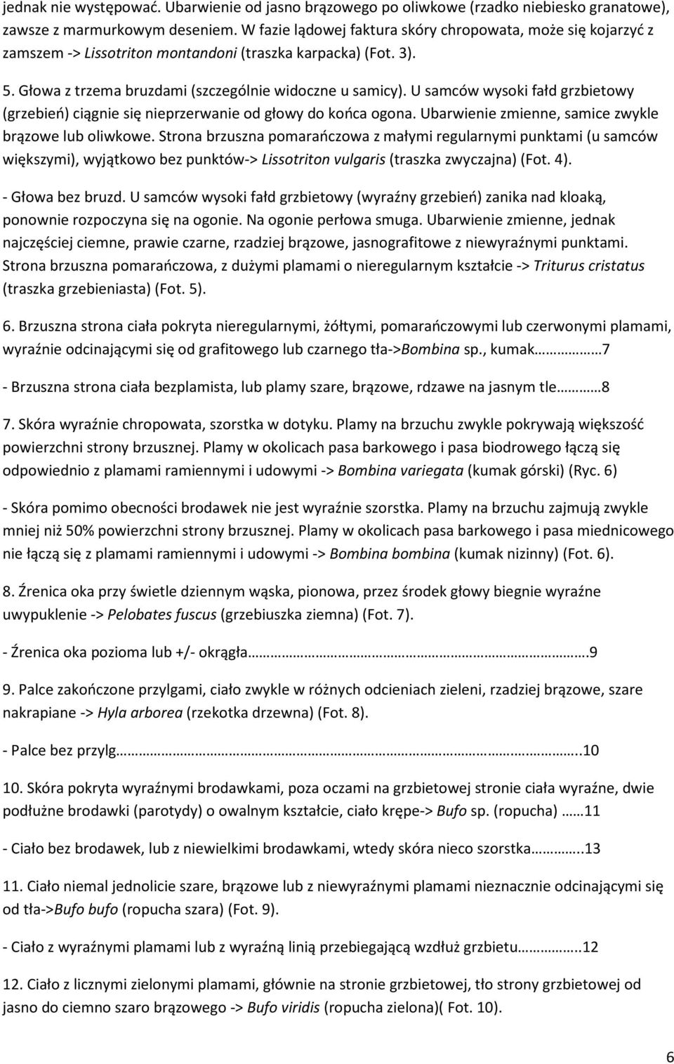 U samców wysoki fałd grzbietowy (grzebień) ciągnie się nieprzerwanie od głowy do końca ogona. Ubarwienie zmienne, samice zwykle brązowe lub oliwkowe.