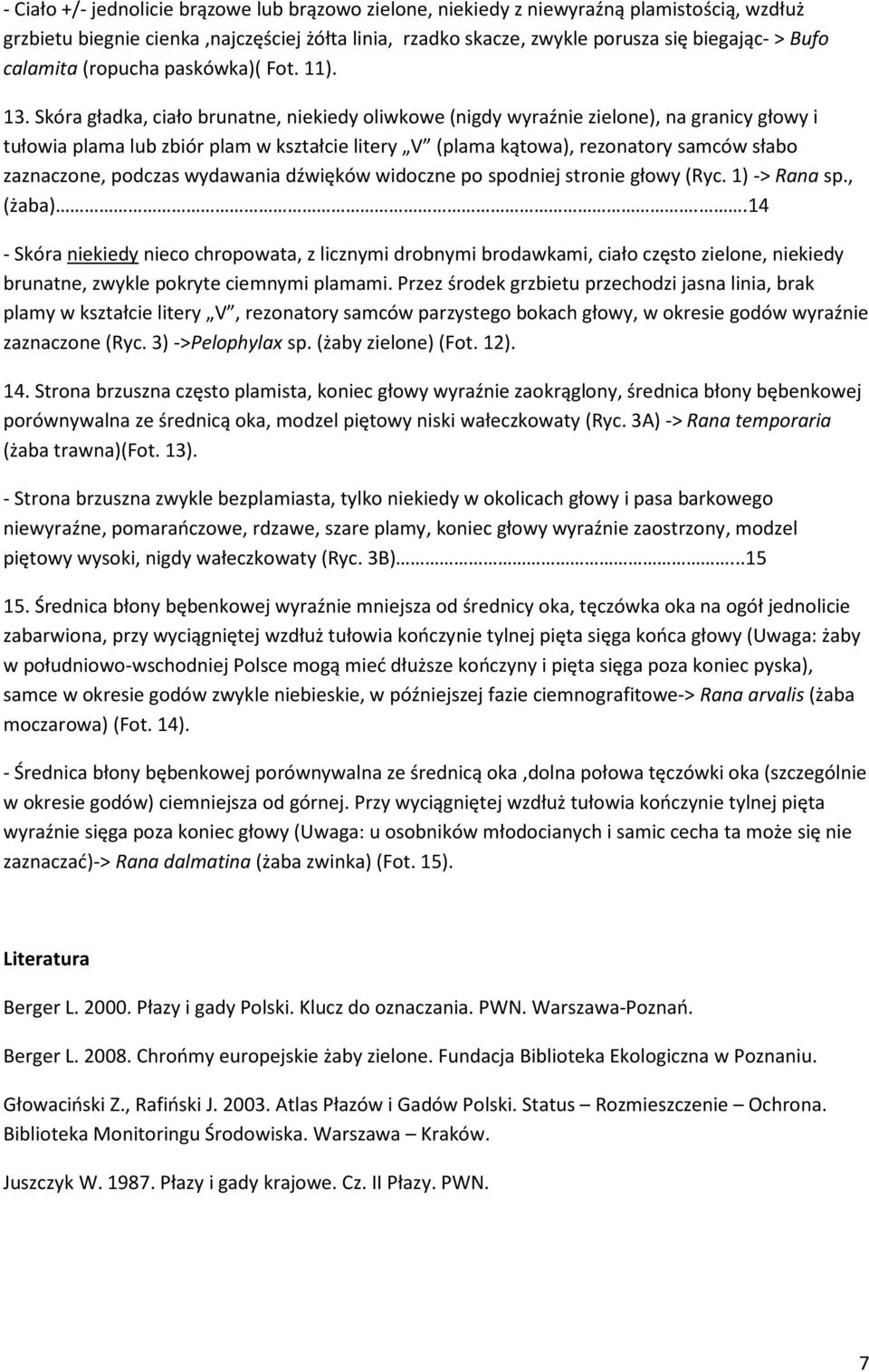 Skóra gładka, ciało brunatne, niekiedy oliwkowe (nigdy wyraźnie zielone), na granicy głowy i tułowia plama lub zbiór plam w kształcie litery V (plama kątowa), rezonatory samców słabo zaznaczone,