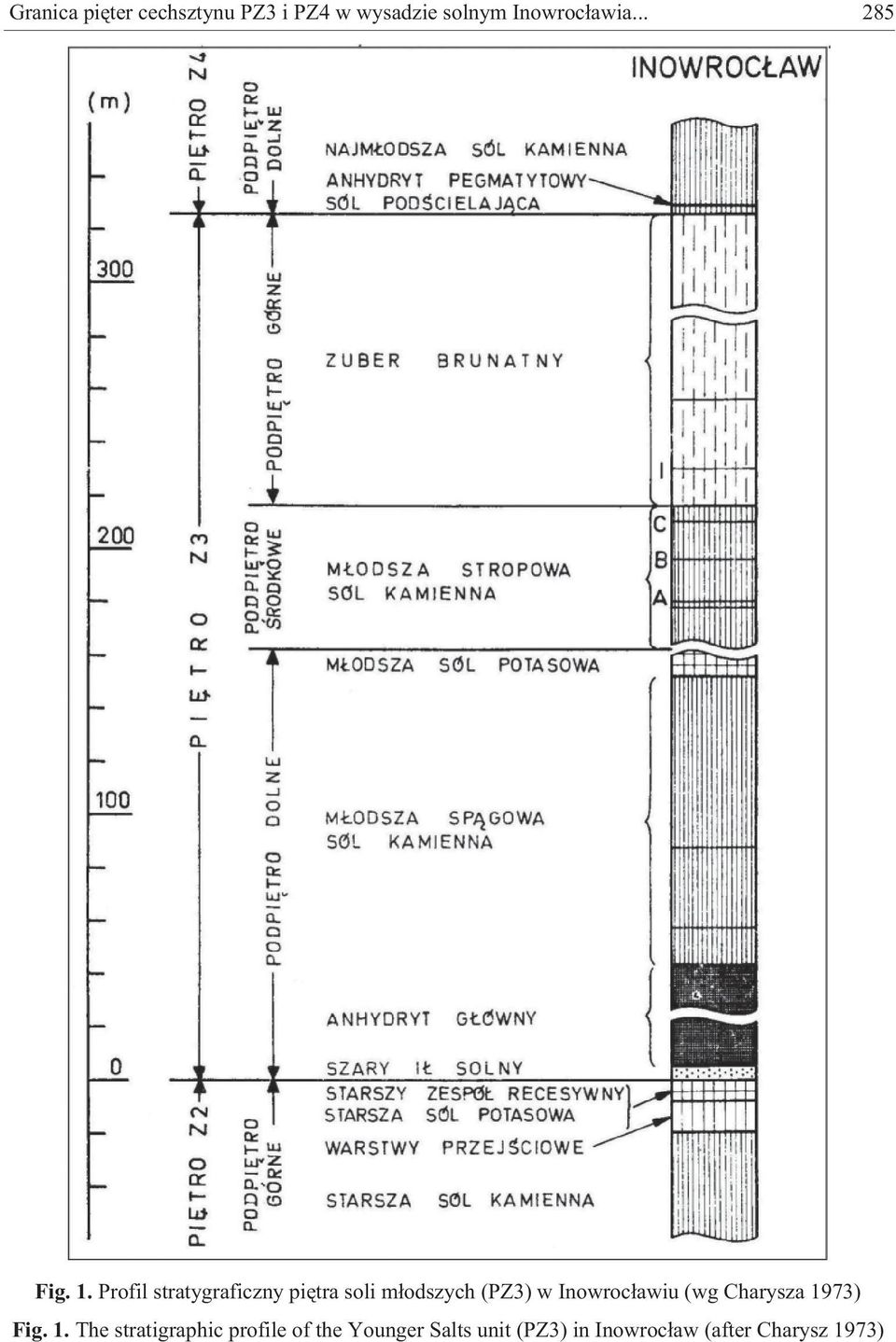 Profil stratygraficzny piêtra soli m³odszych (PZ3) w Inowroc³awiu
