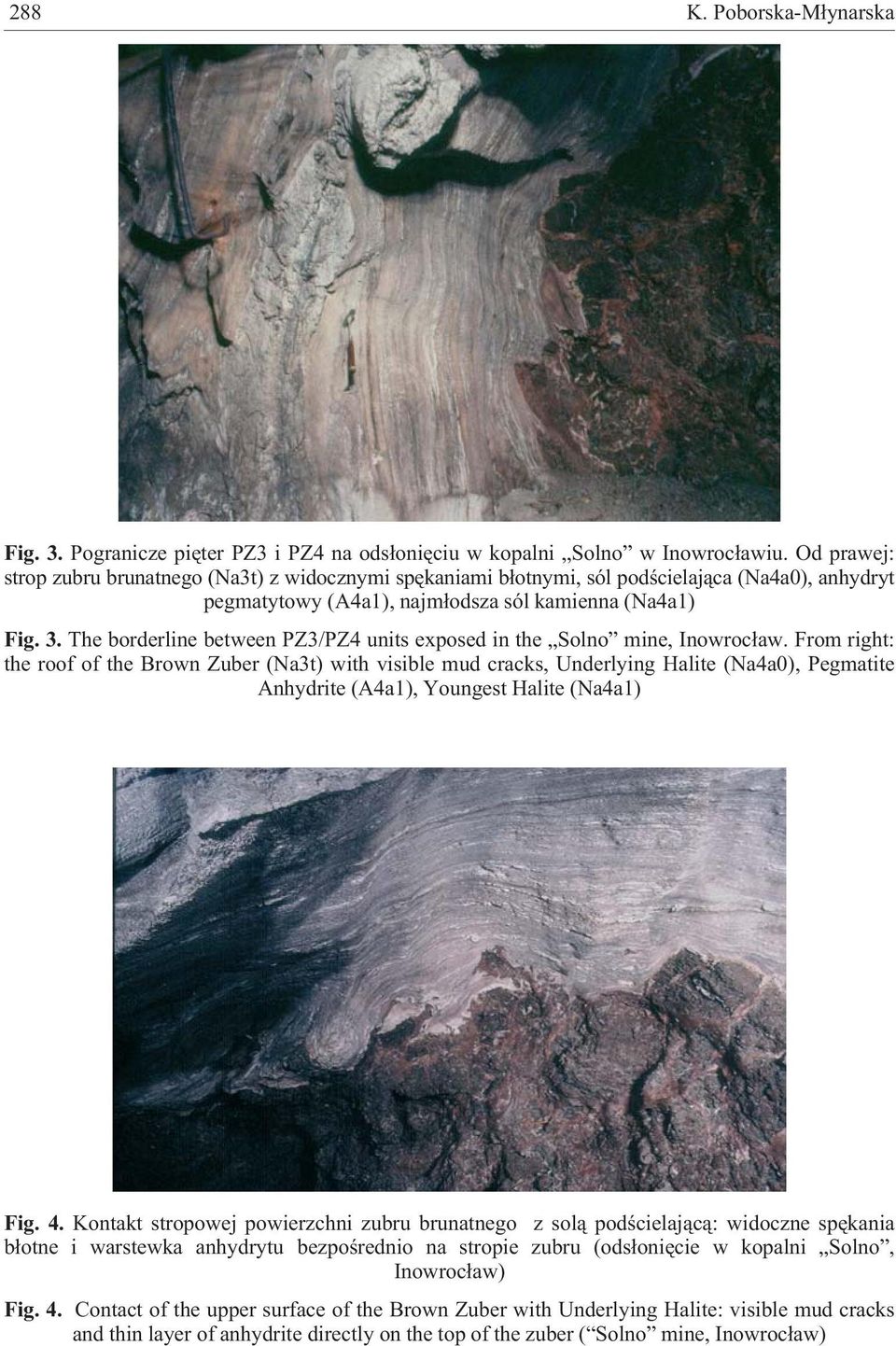 The borderline between PZ3/PZ4 units exposed in the Solno mine, Inowroc³aw.