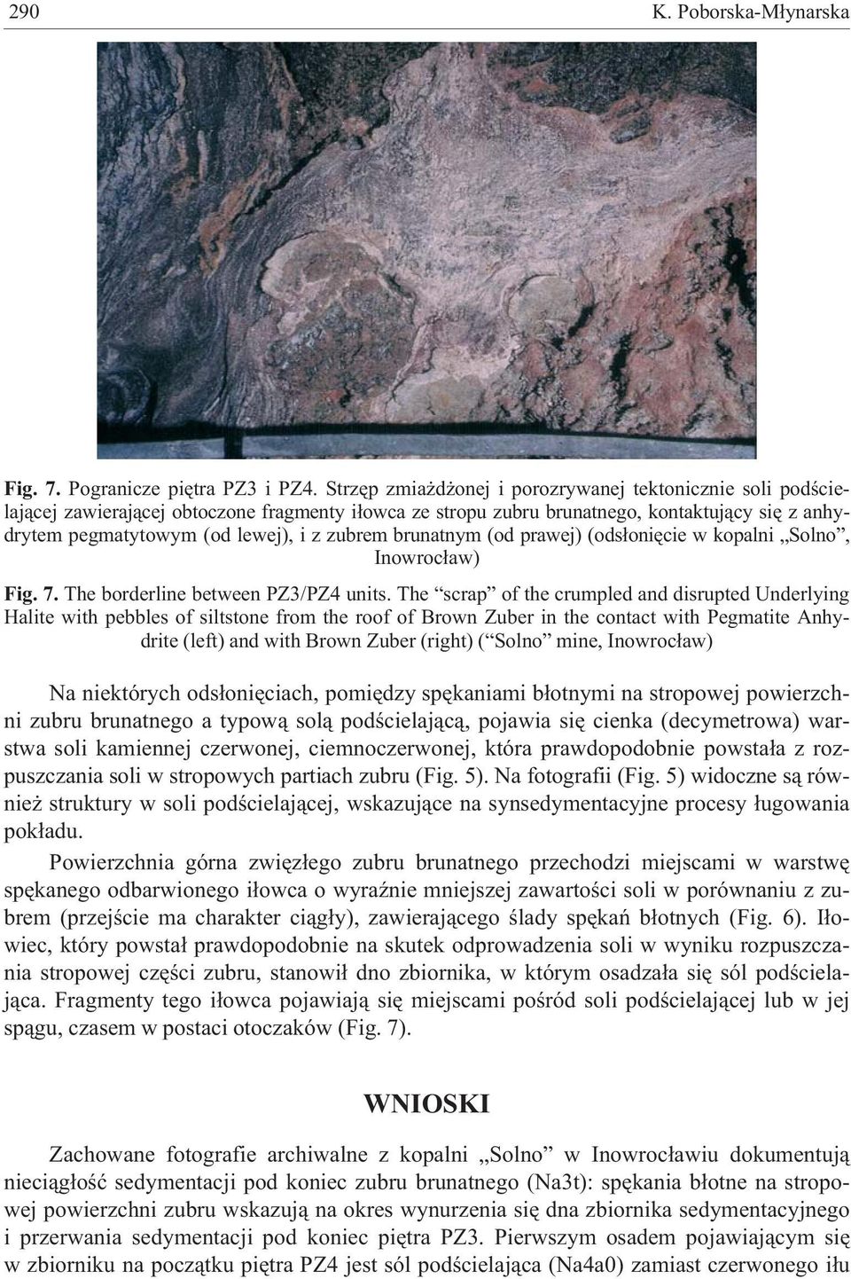 zubrem brunatnym (od prawej) (ods³oniêcie w kopalni Solno, Inowroc³aw) Fig. 7. The borderline between PZ3/PZ4 units.
