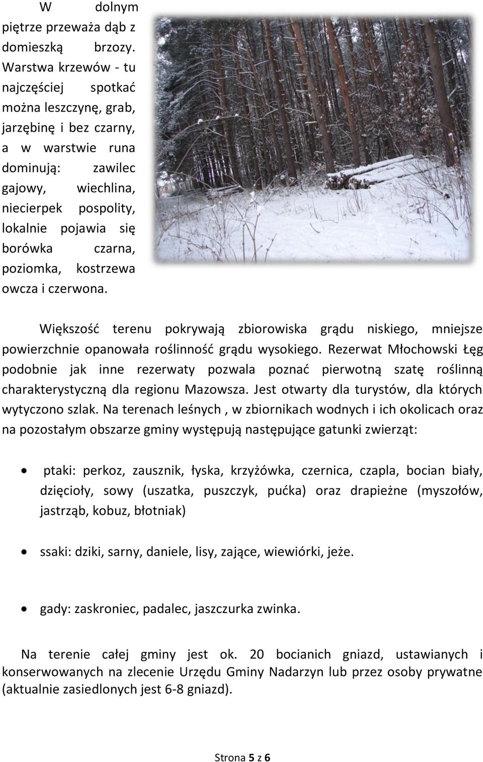 czarna, poziomka, kostrzewa owcza i czerwona. Większość terenu pokrywają zbiorowiska grądu niskiego, mniejsze powierzchnie opanowała roślinność grądu wysokiego.