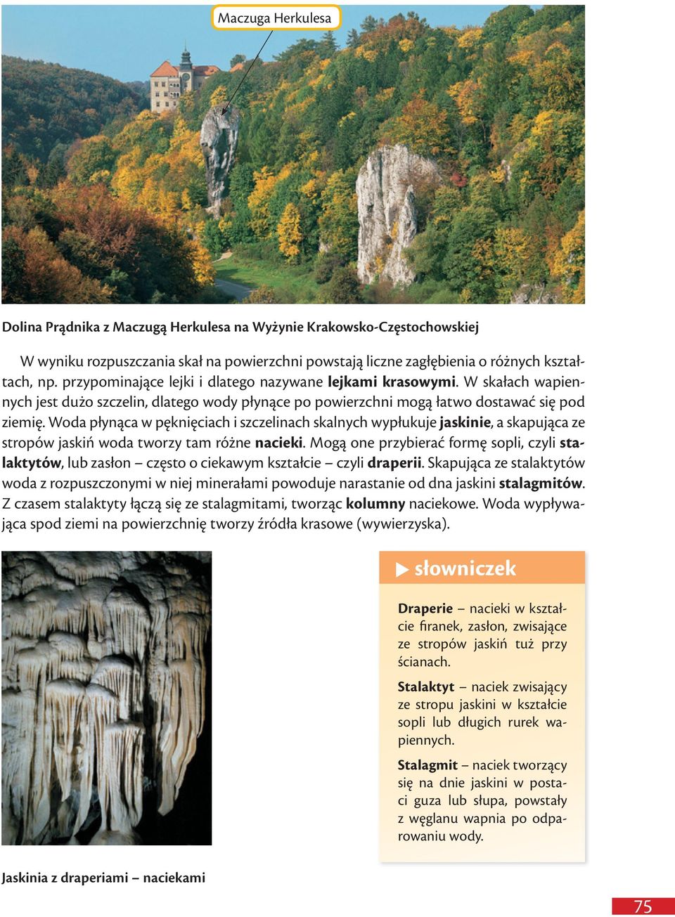 Woda płynąca w pęknięciach i szczelinach skalnych wypłukuje jaskinie, a skapująca ze stropów jaskiń woda tworzy tam różne nacieki.