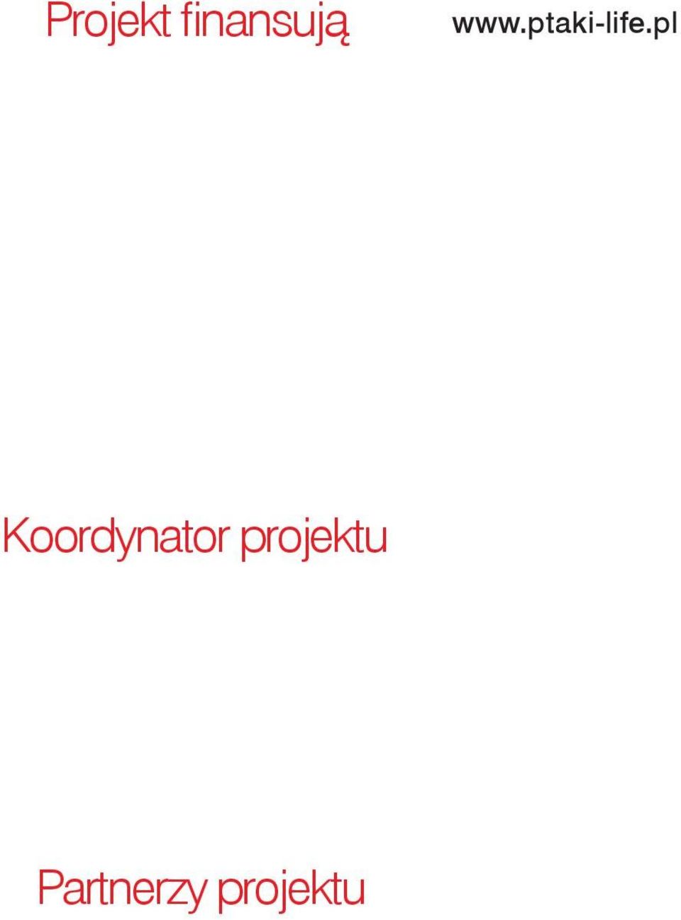 pl Koordynator