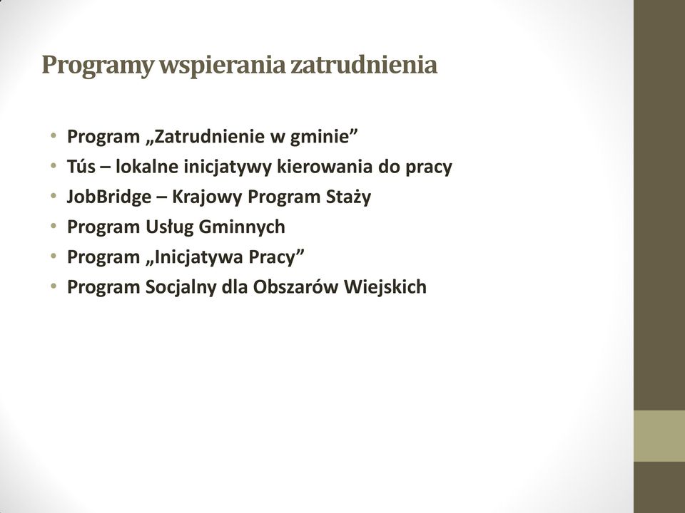 JobBridge Krajowy Program Staży Program Usług Gminnych