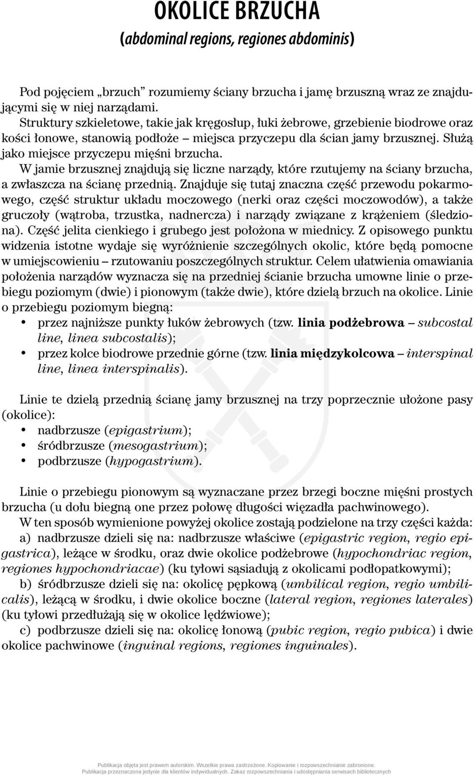 Służą jako miejsce przyczepu mięśni brzucha. W jamie brzusznej znajdują się liczne narządy, które rzutujemy na ściany brzucha, a zwłaszcza na ścianę przednią.