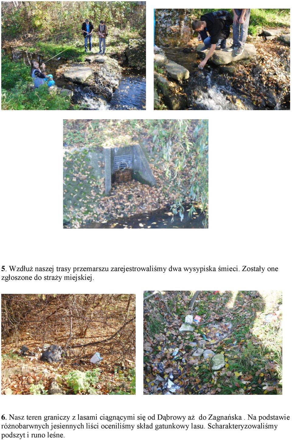 Nasz teren graniczy z lasami ciągnącymi się od Dąbrowy aż do Zagnańska.