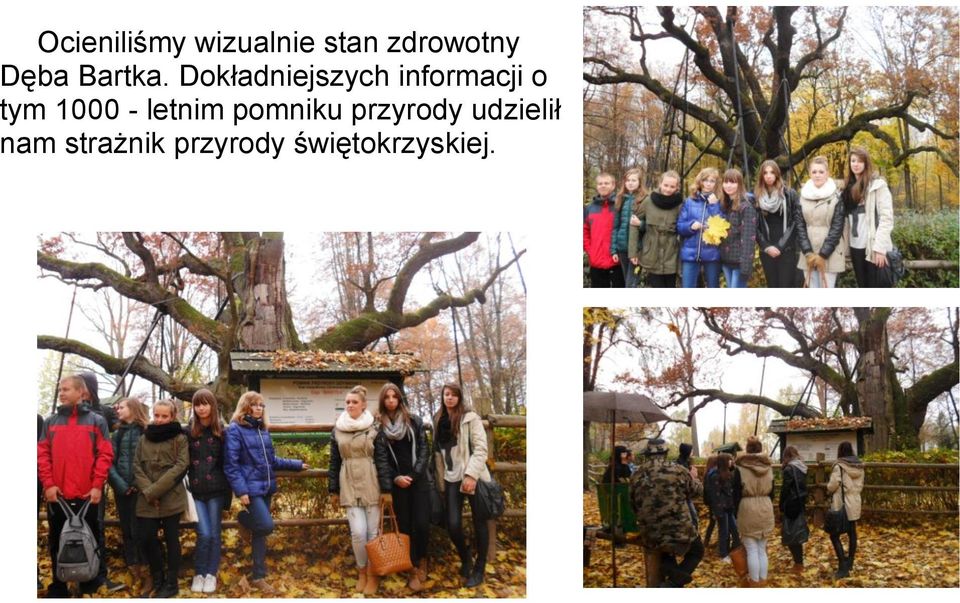 Dokładniejszych informacji o tym 1000 -