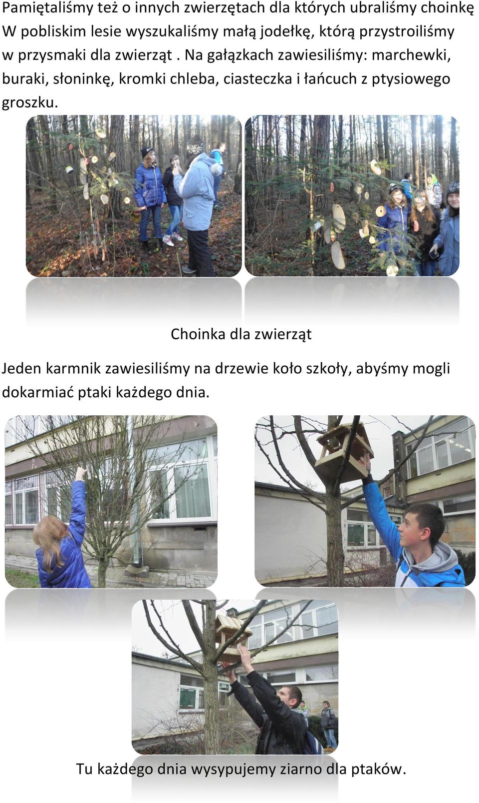 Na gałązkach zawiesiliśmy: marchewki, buraki, słoninkę, kromki chleba, ciasteczka i łańcuch z ptysiowego