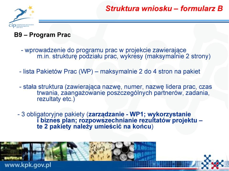 struktura (zawierająca nazwę, numer, nazwę lidera prac, czas trwania, zaangażowanie poszczególnych partnerów, zadania, rezultaty