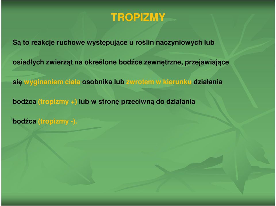 wyginaniem ciała osobnika lub zwrotem w kierunku działania bodźca