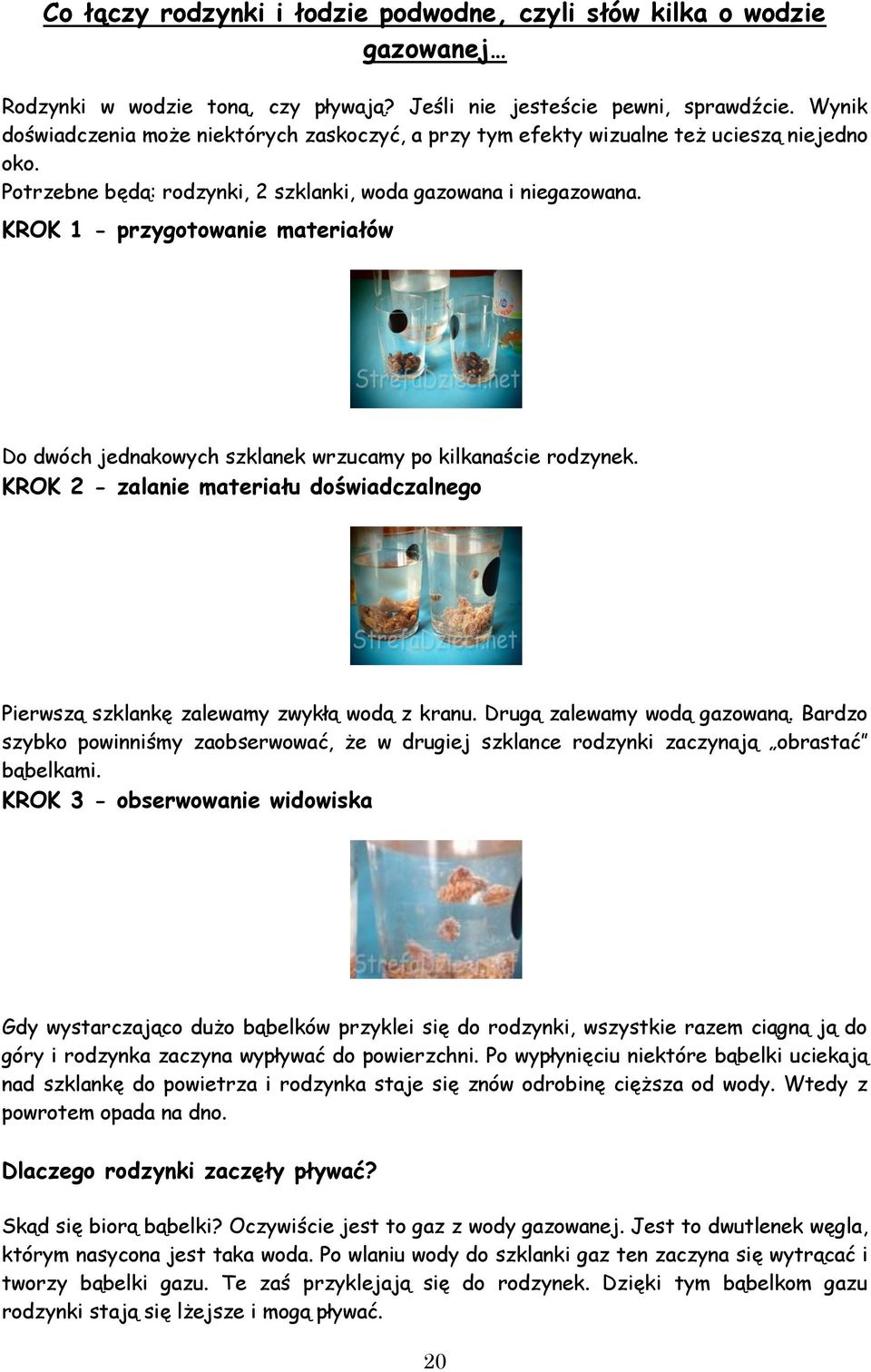 KROK 1 - przygotowanie materiałów Do dwóch jednakowych szklanek wrzucamy po kilkanaście rodzynek. KROK 2 - zalanie materiału doświadczalnego Pierwszą szklankę zalewamy zwykłą wodą z kranu.