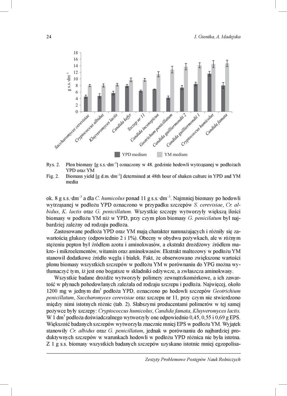 cerevisiae, Cr. albidus, K. lactis oraz G. penicillatum. Wszystkie szczepy wytworzyły większą ilości biomasy w podłożu YM niż w YPD, przy czym plon biomasy G.