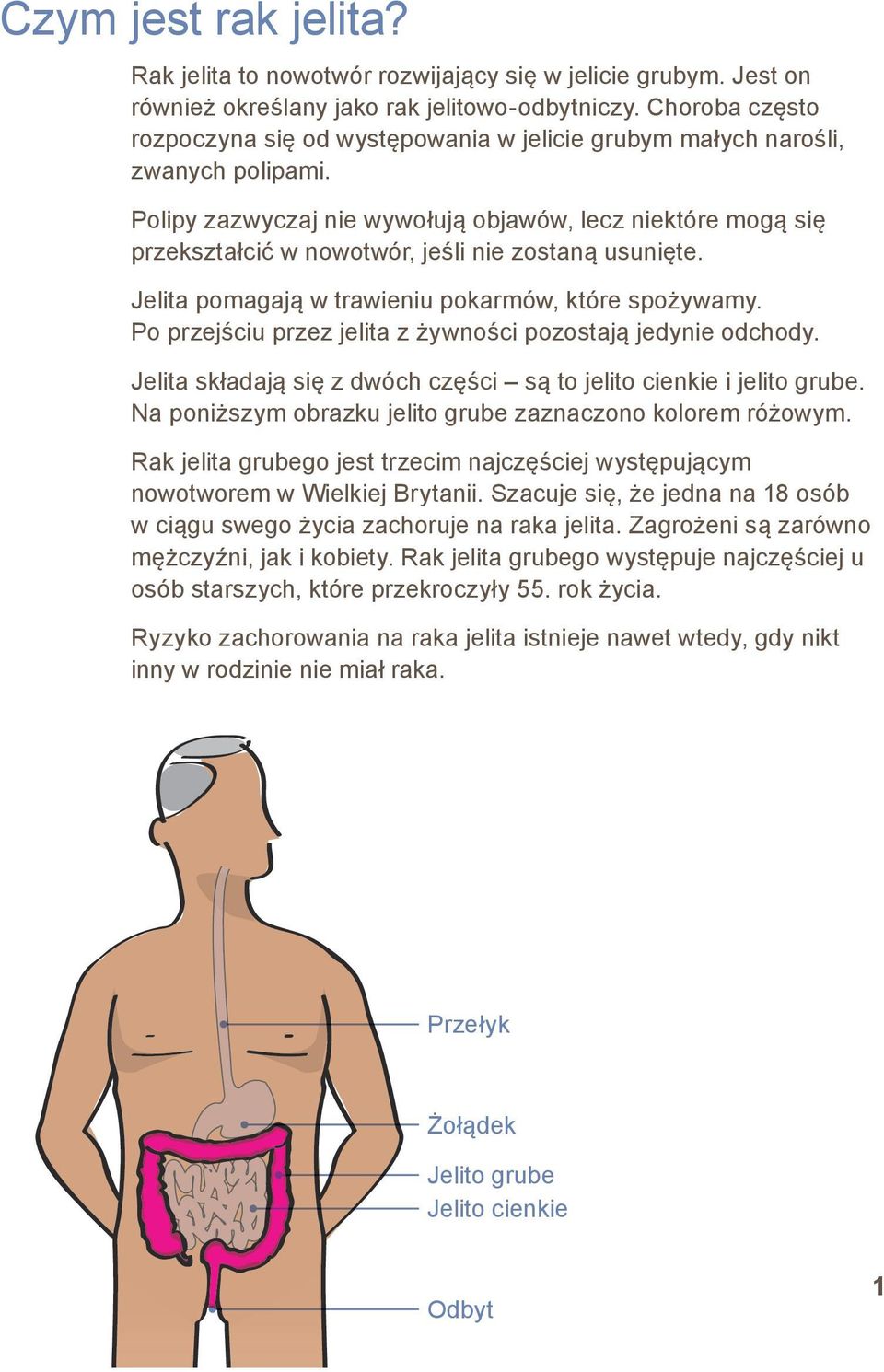 Polipy zazwyczaj nie wywołują objawów, lecz niektóre mogą się przekształcić w nowotwór, jeśli nie zostaną usunięte. Jelita pomagają w trawieniu pokarmów, które spożywamy.