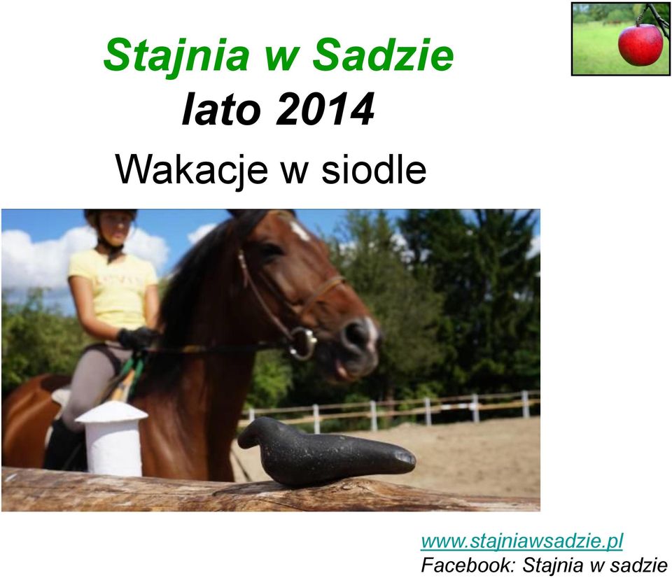 www.stajniawsadzie.