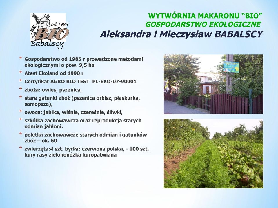 9,5 ha Atest Ekoland od 1990 r owoce: jabłka, wiśnie, czereśnie, śliwki, poletka zachowawcze starych odmian i gatunków zbóż ok.